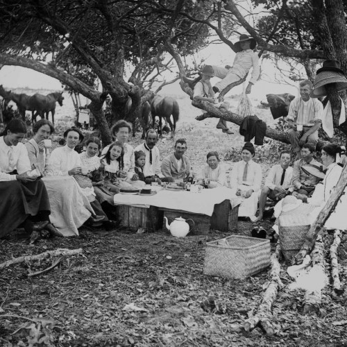 Large family group sitting around a picnic with 3 people in a tree behind, 1900-1910